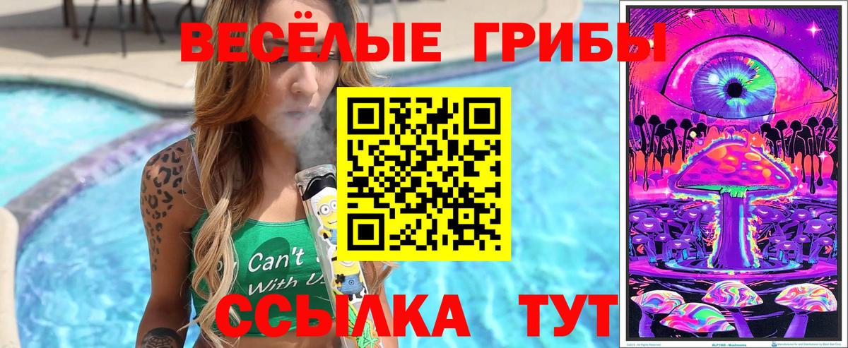 купить наркоту  Псилоцибиновые грибы Cubensis  Вход с VPN  Мичуринск 